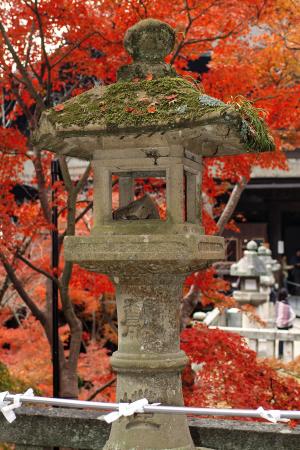 石灯笼, 秋天, 日本