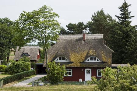 茅草的屋顶, 芦苇, 首页, 德国北部