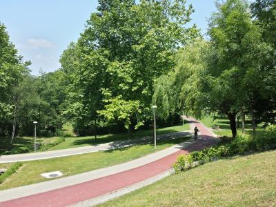 树木, 路径, 自然, 绿色, 公园, 草, 步行