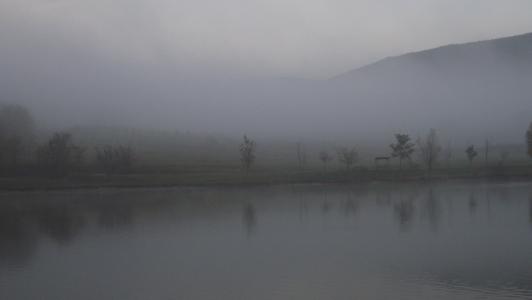 雾, 景观, 自然