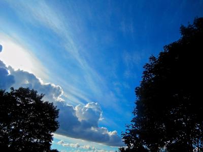 蓝蓝的天空, 树, 日落, 松树客栈, 斯德哥尔摩, 夏季, 云计算