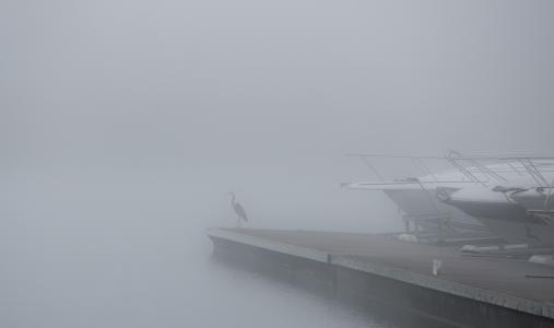 起重机, 雾, 桥梁, 群岛, 小船, 游船, 瑞典