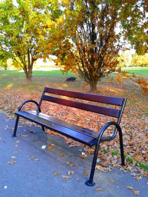 板凳, 秋天, 自然