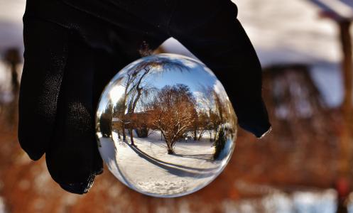 球, 玻璃, 冬天, 雪, 太阳, 镜像, 树木