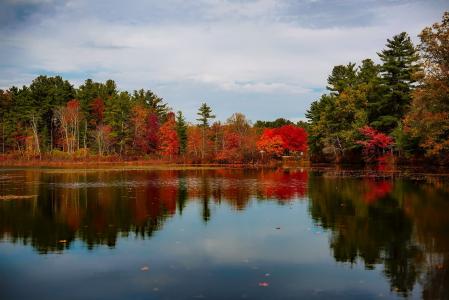 马萨诸塞州, 湖, 水, 几点思考, 景观, 风景名胜, 秋天