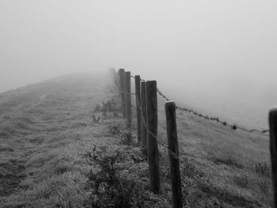 带刺的铁丝网, 黑白, 农场, 栅栏, 雾, 有雾, 雾