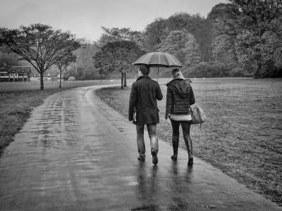 雨, brasschaat, 公园, 步行, 爱, 步行路径, 徒步旅行