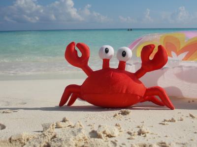 螃蟹, 海滩, 海鲜, 玩具, 海, 沙子, 假期