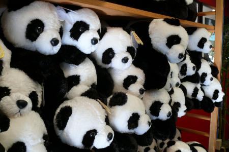 动物园, 圣地亚哥, 动物, 毛绒, 玩具, 熊猫