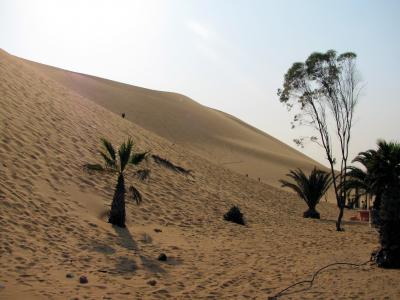 沙丘, 纳米比亚, 沙漠, 沙子, 自然, 沙丘, 海滩