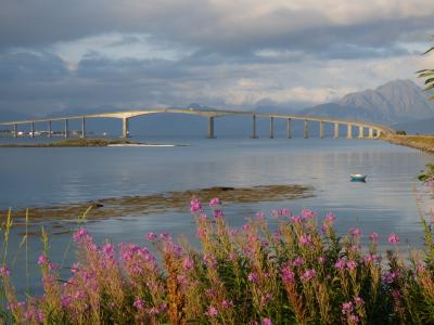 桥梁, 景观, 罗弗敦, 挪威