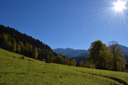 巴伐利亚, 山脉, 高寒草甸, 秋天, 天空, 太阳, 蓝色