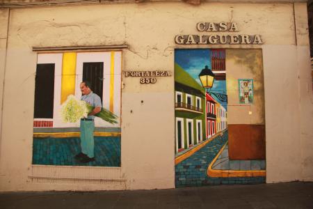 墙上, 绘画, 波多黎各, 圣胡安, 男子, 花, 街道