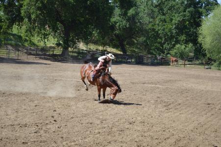 牛仔竞技表演, 骑马, 牛仔, 马, 西方, 狂野的西部, 骑马