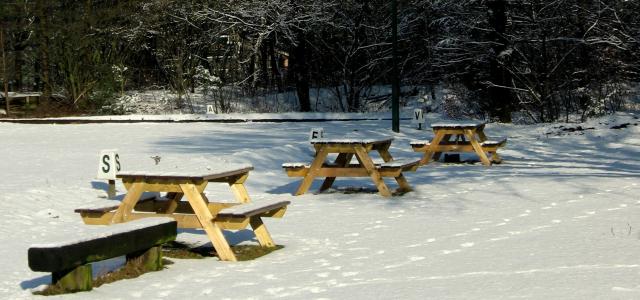 野餐桌, 冬天, 雪