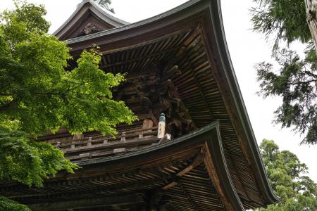 enkakuji 寺, 寺, 仓, 日本, 屋顶, 树, 建筑的结构