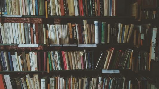书架, 书籍, 书架, 知识, 图书馆, 文学, 小说