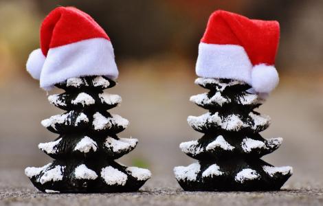 圣诞节, 冷杉, 树木, 有趣, 圣诞老人的帽子, 圣诞节的时候, 雪