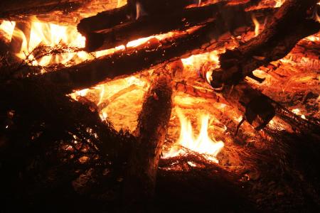 火焰, 火花, 篝火, 晚上, 木材