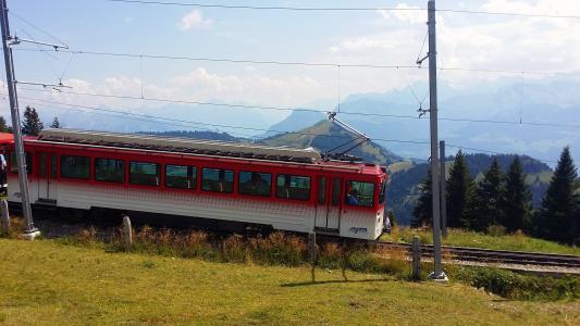 火车, 齿条和小齿轮, 山, 瑞士, 阿尔卑斯山, rigi kulm, 运输