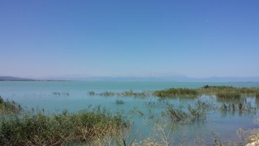 景观, 湖, 土耳其, 自然, 水, 银行