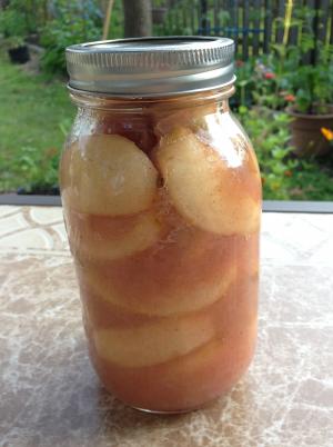 保存 jar, 罐子里, 罐头苹果, 苹果, 罐头, 水果