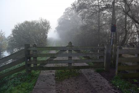 栅栏, 雾, 圩, 草, 雾, 空气, 薄雾