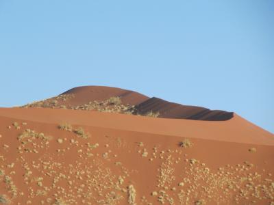 沙丘, 沙漠, 沙子, 天空, 景观, 纳米布