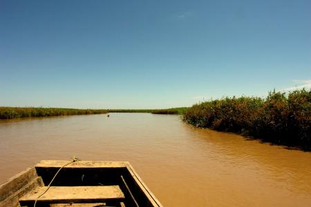 河, 亚马逊, 玻利维亚, 穿越, 假日, 自然, 平静