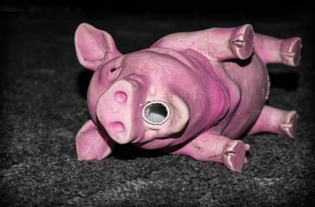 小猪, 的猪, 玩具, 橡胶, 狗, 粉色