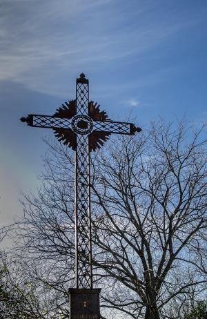 丝毫, 十字架, 宗教, 天主教, 天空, 光秃秃的树上, 低角度视图