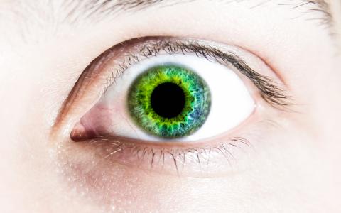 左, 眼睛, 绿色, 学生, 脸上, 人类的眼睛, 人类身体的一部分
