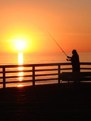 日落, 费歇尔, 海, 钓鱼杆, 捕鱼, 自然, 户外