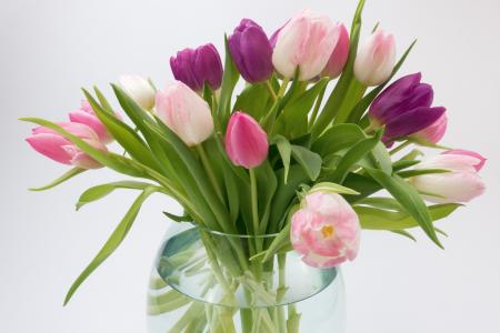 郁金香, 郁金香花束, 春天的花朵, 花束, schnittblume, 花, 开花