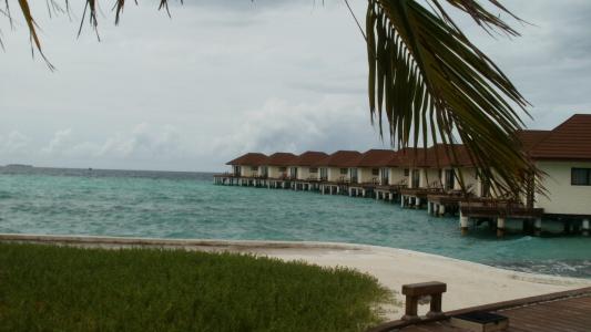 马尔代夫, 北马累环礁, 海, 棕榈树, 沙子, 白色, 蓝色