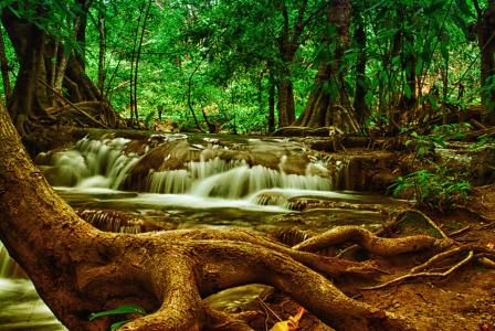 树, 瀑布, 森林, 自然, 国家公园, 泰国, 伍兹