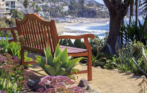 板凳, 放松, 阳光明媚, 海滩, 公园, 户外, 休闲