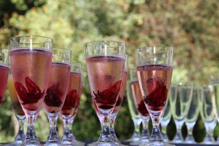 香槟杯, 红色, 冷冻, 夏季, 庆祝