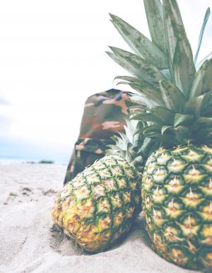 菠萝, 海滩, 背包, 野餐, 休闲, 水果, 甜
