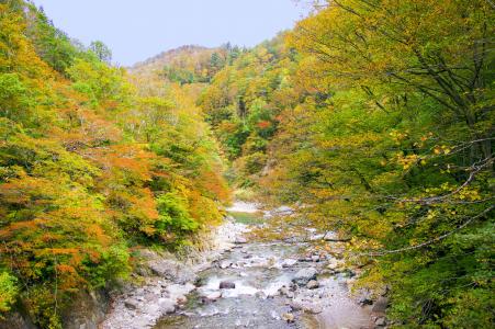 日本, 秋天的叶子, 秋镇, 山谷, 秋天, 长野, 新泻