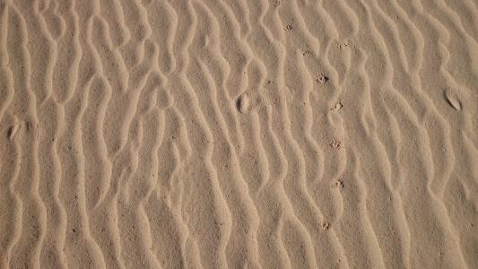 沙子, 形式, 景观, 自然, 和平, 沙漠, 沙丘