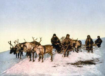 驯鹿, 幻灯片, 驯鹿雪橇, 爱斯基摩人, photochrom, 阿尔汉格尔斯克, 马