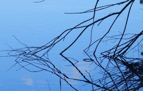 水, 分支机构, 蓝色, 对比, 自然, 几点思考, 湖