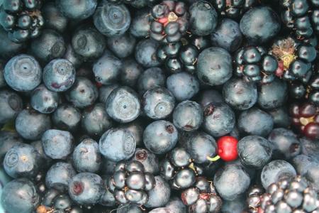 水果, 浆果, jagoda, 蓝莓, 黑莓, 成熟的, 夏季