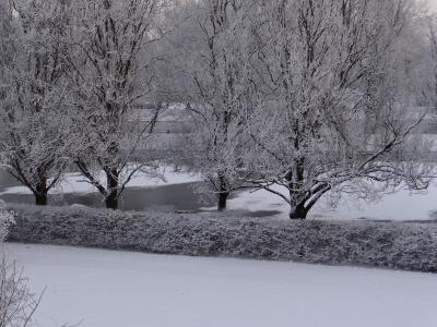 寒冷, 雪, 树木, 冬天的魔法, 自然, 水, 河