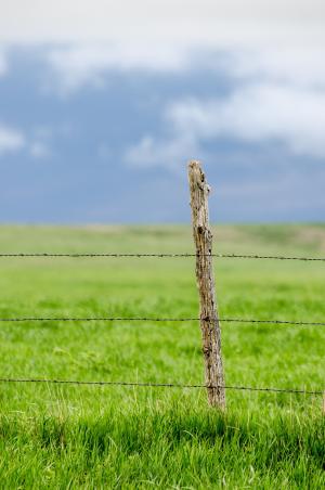 栅栏, 带刺的铁丝网, 牧场, 绿色, 蓝蓝的天空, 蓝色, 牧场
