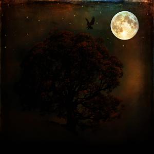 晚上, 满月, 月亮, 黑暗, 月光, 树, 乌鸦