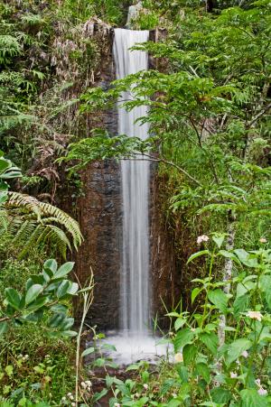 小瀑布, 国家公园, 马达加斯加, 森林, 瀑布