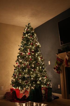 圣诞节, 树, 神奇, 假日, 冬天, 装饰, 圣诞节