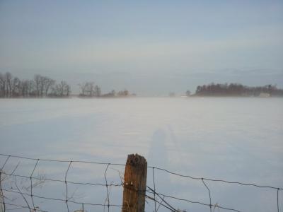 冬天, 渥太华, 雾冬日